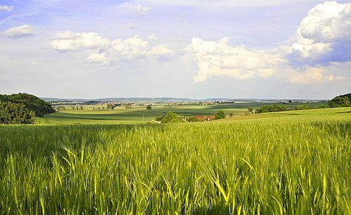 Der Blick vom Schäfersberg ins Colmberger Becken