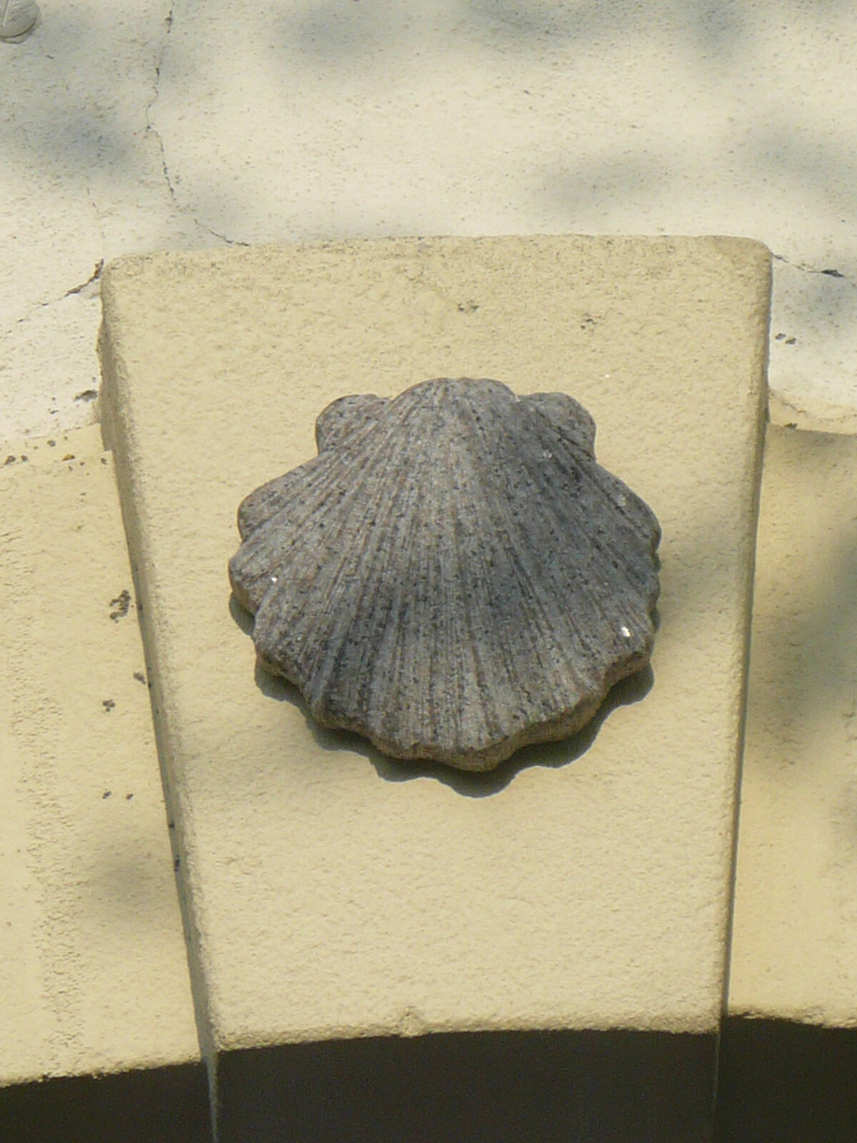 Jakobsmuschel in der Kirche in Häslabronn. Foto: Bernhard Meier-Hüttel