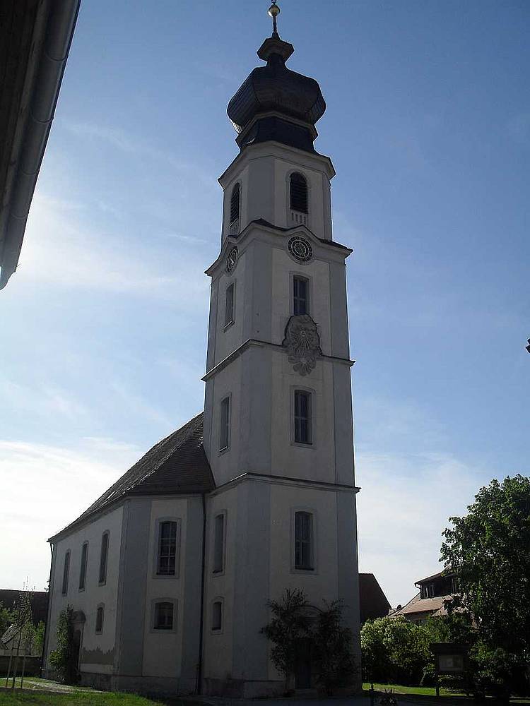 Annes Doppelschwanz-Vierer Annes Doppelschwanz-Vierer